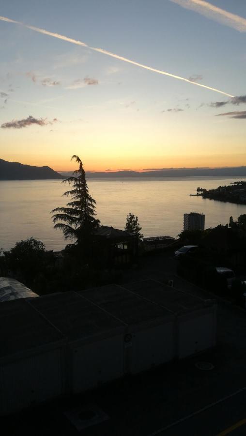 Le Fer A Cheval Apartment Montreux Luaran gambar